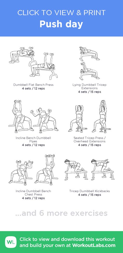 Push day – click to view and print this illustrated exercise plan created with #WorkoutLabsFit Push Pull Legs Workout, Push Day Workout, Push Pull Workout, Pull Day Workout, Pull Day, 300 Workout, Workout Labs, Push Pull Legs, Workout Gym Routine