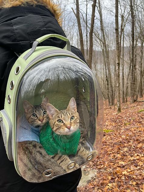 Dog Backpack Carrier, Adventure Cat, Cute Small Animals, Dog Backpack, Cat Facts, Silly Animals, Cute Animal Pictures, Pet Carriers, Baby Cats