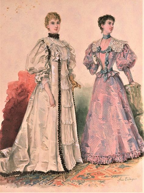 1890s Gown, 1896 Fashion, Victorian Era Fashion, 1890s Fashion, 1880s Fashion, Tea Gown, Historical Dress, 1800s Fashion, 20th Century Fashion