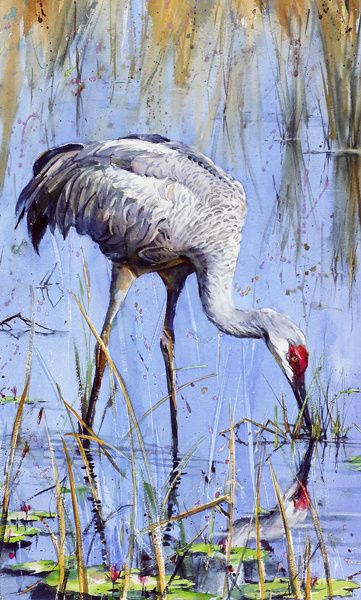 Crane Drawing, Oil Painting Inspiration, Collage Art Projects, Pallet Painting, Vintage Art Prints, Bird Photo, City Art, Art Portfolio, Watercolor Background