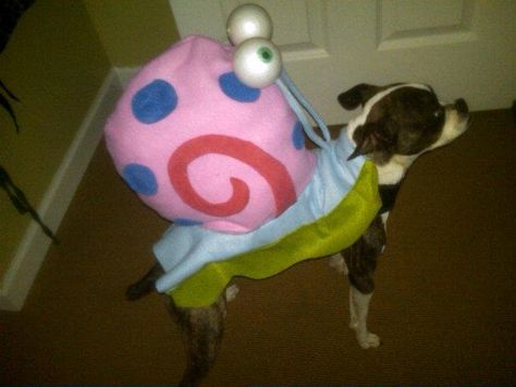 My son wanted to be Patrick from Spongebob for Halloween so I made my dog a Gary costume. Patrick From Spongebob, Gary From Spongebob, Spongebob Gary, Spongebob Halloween, Spongebob Costume, Spongebob Birthday Party, Spongebob Party, Halloween Coustumes, Spongebob Birthday