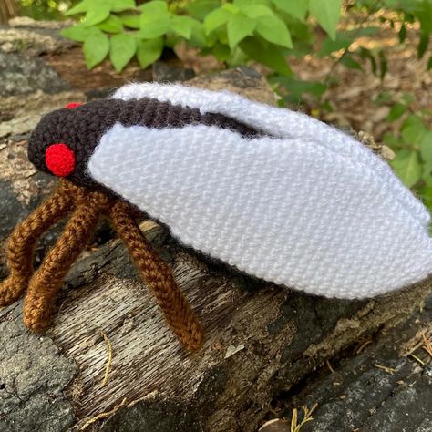 Periodic Cicada Crochet pattern by Susan Burkhart Crochet Techniques, Knitting Projects, Crochet Projects, Crochet Pattern, Crochet Patterns, Knitting, Crochet, Pattern