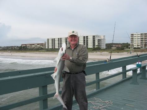 Chum from a pier to attract sharks and other big fish. Shark Recipes, Black Tip Shark, Leopard Shark, Fish Background, Big Shark, Salt Water Fishing, Shark Fishing, Cooking School, Row Boat