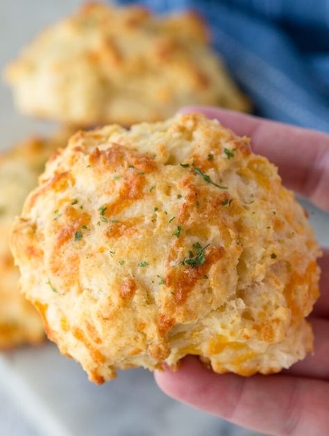 Simple, Delicious, Family-Friendly Recipes, Prepared in Minutes – Eazy Peazy Mealz Lobster Biscuit Recipe, Garlic Cheese Biscuits, Garlic Cheddar Biscuits, Lobster Biscuits, Cheesy Biscuits, Biscuits Homemade, Red Lobster Cheddar Bay Biscuits, Red Lobster Biscuits, Garlic Cheddar