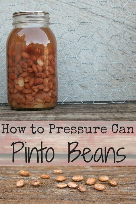 Canning Beans, Pinto Bean Soup, Pinto Bean Recipes, Food Canning, Pressure Canning Recipes, Canning Process, Preserving Foods, Canning Pickles, Home Canning Recipes