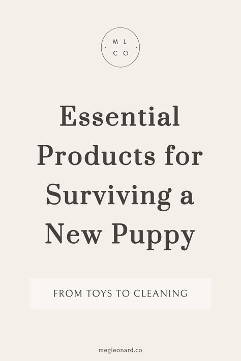 Puppy List Pet Products, Cute Golden Retriever Puppy, Puppy Essentials, Puppy Items, Puppy List, Lifestyle Co, City Living Room, Puppy Golden Retriever, Puppy Tips