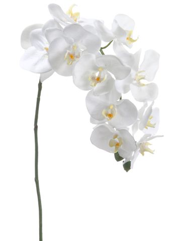 Phalaenopsis Orchid Spray in White | Silk Wedding Flowers Phalaenopsis Orchid, White Flower, Spray, Silk, Flowers, White