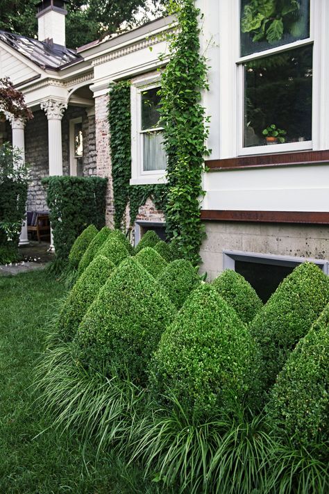 Boxwood has a long history in garden design, from ancient Rome to modern-day suburbia. A tidy boxwood hedge is a staple in traditional formal gardens, but landscape designers are also using the evergreen in fresh ways. #garden #gardenideas #gardenplants #landscaping #besthedges #hedgeideas #bhg