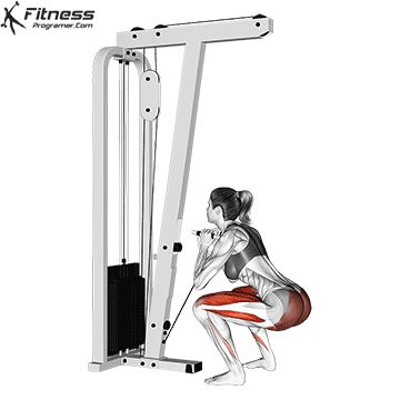 Cable Squats Exercise, Squat Cable Machine, Squat Muscles Worked, Leg Workout Exercises, Squats Muscles Worked, Cable Machine Workout, Chest And Tricep Workout, Back Workout Routine, Leg Day Workout