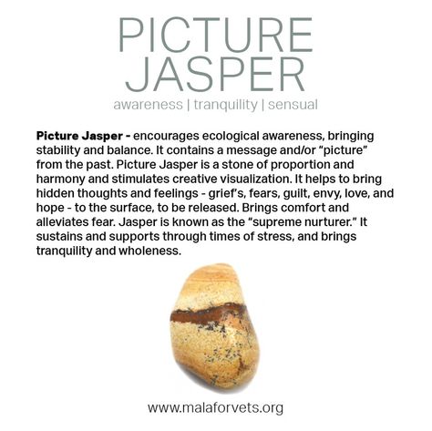 Picture Jasper Jasper Stone Meaning, Witch Stones, Balance Chakras, Jasper Meaning, Lower Chakras, Creative Visualization, Crystals Healing Properties, Red Tiger, Gemstone Meanings