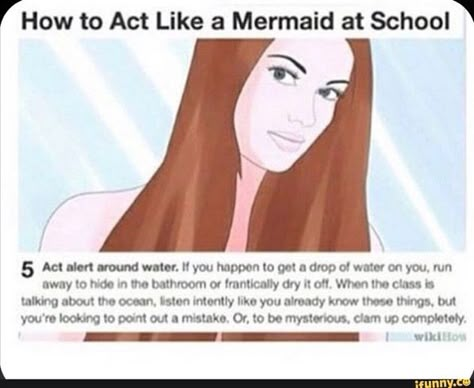 How To Act, E Cards, Memes Humor, A Mermaid, At School, Funny Laugh, Out Loud, Funny Posts, Dankest Memes