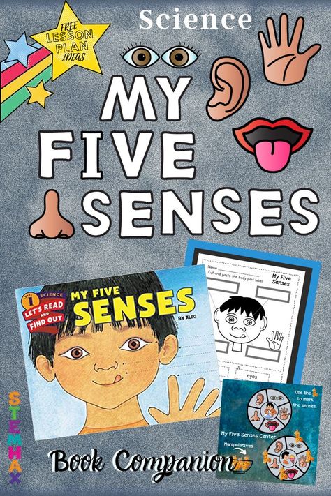 Check out this "My Five Senses" eight day FREE Lesson plan resource guide. It starts with reading the book "My Five Senses" by Aliki and breaks down each sense one per day...and MORE!     #myfivesenses #senses #taste #touch #sight #smell #book #reading #lessons #kindergarten #1stgrade #2ndgrade #centers #printables #TpT #homeschool #teachers Teaching Five Senses To Preschoolers, The Five Senses Kindergarten, My Five Senses Activities Free Printable, Five Senses Kindergarten, Five Senses Preschool, 5 Senses Activities, Senses Preschool, My Five Senses, Senses Activities