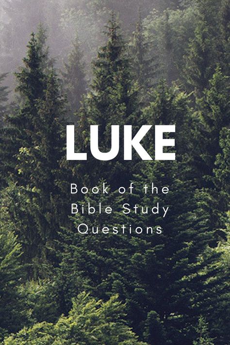 Bible Study Discussion Questions, Book Of Luke, Bible Questions And Answers, Bible Study Questions, Teen Bible Study, Story Of Jesus, Jesus Birth, Gospel Bible, New Testament Bible