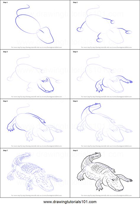 How to Draw an American alligator Printable Drawing Sheet by DrawingTutorials101.com Alligator Drawing Reference, How To Draw A Crocodile Step By Step, Caiman Drawing, How To Draw Alligator, How To Draw An Alligator, Alligator Drawing Easy, Gator Drawing, Alligator Sketch, Alligator Printable