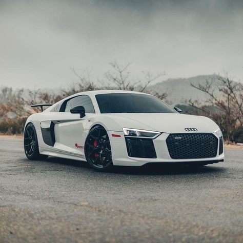 R8 V10 Plus, Dream Cars Audi, Audi R8 V10 Plus, Audi Tt Rs, R8 V10, Audi R8 V10, Future Cars, Audi Rs6, Audi Sport