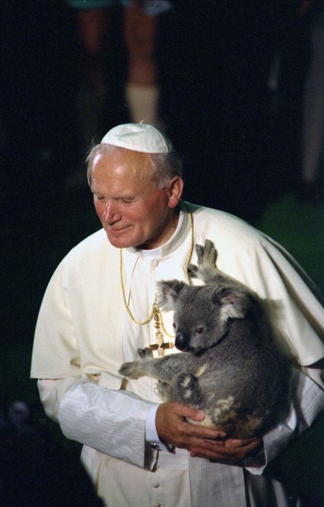 Pope John Paul II holding a koala, Brisbane, 25 November 1986. John Paul Ii Art, Saint John Paul Ii, Pope John Paul Ii Art, Paul Meme, Saint Pope John Paul Ii, Pope Paul Vi, St Pope John Paul Ii, Pope Saint John Paul Ii, Pope Benedict Xvi