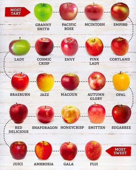 Apples, from tart to sweet. Apple Chart, Types Of Apples, Best Apple Recipes, Apple Types, Apple Varieties, Sprouts Farmers Market, Food Info, Sweet Tarts, Food Facts