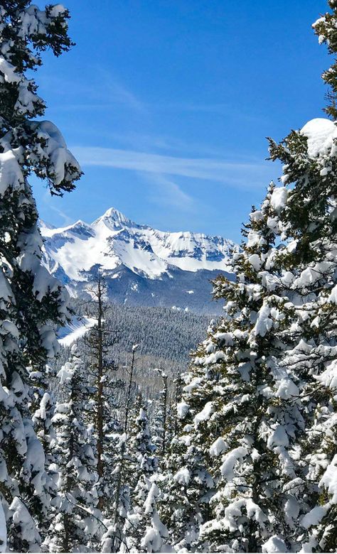 Built on the rubbles of an old mining town, Telluride ski resort still carries the legacy of being filled with gold - although now in the shape of tourist dollar bills. In various magazines, Telluride has been accredited as being one of the most beautiful ski resorts on the continent. The only real issue encountered when Spending your ski holidays in Telluride ski resort is the likelihood that you might certainly want to return again next year. (c) @telluride Telluride Gondola, Telluride Ski Resort, Colorado Road Trip, Road Trip To Colorado, Mining Town, Ski Holiday, Telluride Colorado, Tourist Office, Go Skiing