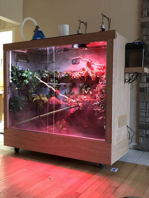 Chinese water dragon enclosure. Diy Chinese Water Dragon Enclosure, Iguana Aquarium Ideas, Dumerils Boa Enclosure, Asian Water Monitor Enclosure, Iguana Enclosure Ideas, Orchidarium Ideas, Water Dragon Pet, Chinese Water Dragon Enclosure, Water Dragon Enclosure