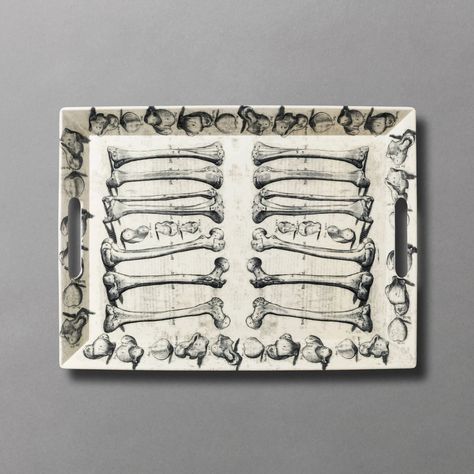 Rectangle Serving Tray, Scientific Drawing, Anatomy Bones, Target Halloween, John Derian, Halloween Party Supplies, Pink Pumpkins, Halloween Trick Or Treat, Halloween Home Decor