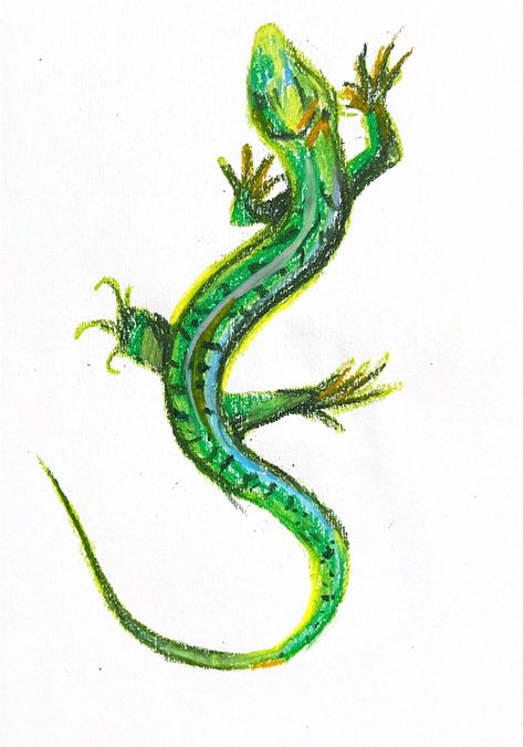 How To Draw A Lizard, Lizards Drawing, Oil Pastel Animals, Watercolor Lizard, Lizard Drawing, Gecko Art, Lizard Art, Chalkboard Drawing, Illustration Example