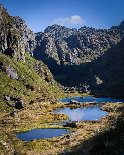 @the_viewfinda’s Instagram post: “INFINITY POOLS. Two alpine tarns above Lake Harris on the Routeburn Track looking like nature’s answer to an infinity pool. #infinitypool…” Tongariro Alpine Crossing New Zealand, Waitakere Ranges New Zealand, Routeburn Track New Zealand, Rural New Zealand, Lake Wakatipu New Zealand, Mt Taranaki New Zealand, Alpine Forest, Infinity Pools, New Zealand Landscape