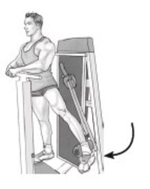 Standing Machine Hip Adduction Hip Adduction, Tensor Fasciae Latae, Hip Exercises, Gluteus Medius, Hip Workout, Wizard, Bodybuilding, Male Sketch