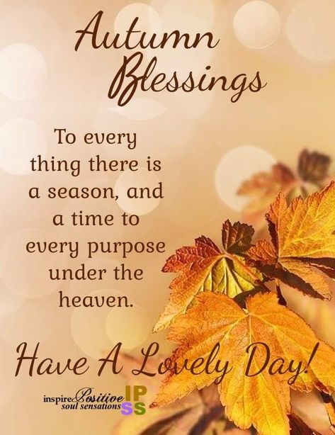 New Month Wishes, Heaven Pictures, Happy Sunday Images, Autumn Blessings, Sunday Images, Thanksgiving Blessings, Daily Grace, Cute Good Morning Images, Morning Thoughts