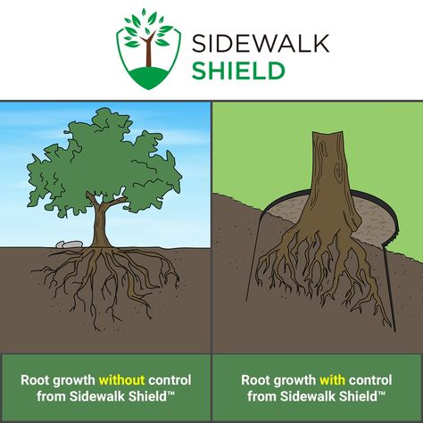 Sidewalk Shield  Tree Root Control Barrier Standard Duty  18 inch depth 25 feet ** Be sure to check out this awesome product. #weedmosscrontrol Root Barrier, Mediterranean Exterior, Root Growth, Tree Roots, Tree Care, Photography Poses, Exterior