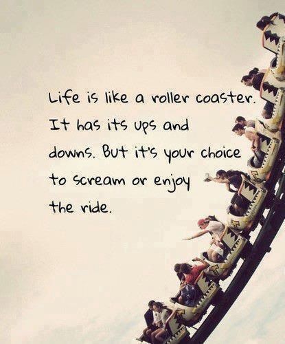 Do you feel like you have to always be in control? Do you want to miss something, or enjoy the ride? Check out my (Lindsay Dawson's) blog to learn more about letting go of control. Let me know what you think! <3 What I Like About You, Video Motivation, Life Quotes Love, All Quotes, E Card, Wonderful Words, Quotable Quotes, Ups And Downs, Roller Coaster