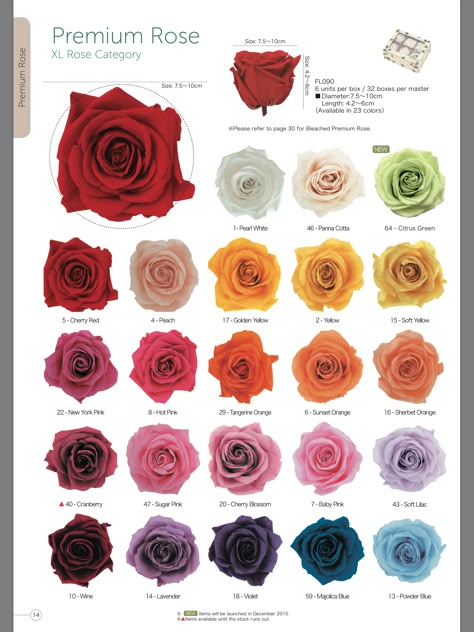 Different Color Roses, Rose Color Meanings, Meaning Art, Color Knowledge, Flower Chart, Colored Roses, Small Roses, Flower Varieties, Perfect Beard