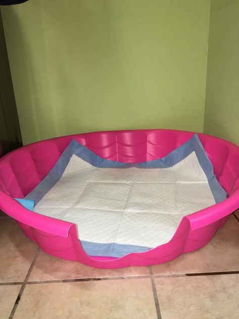 Use a kid pool to prevent accidents from the puppy pad from getting on the floor. To clean the pool just take it outside rinse with bleach water and let dry and it's ready to be used again! Dog Potty Area, Indoor Dog Potty, Dog Kennel Cover, Dog Pee Pads, Dog Potty Training, Dog Potty, Dog Area, Puppy Pads, Dog Pee