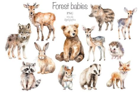 Dive into Creativity with Watercolor Animal Clipart Forest Animals Illustration, Etsy Clipart, Wild Animals Vector, Forest Wildlife, Animal Caricature, Puppy Portraits, Cartoon Crazy, Forest And Wildlife, Forest Baby