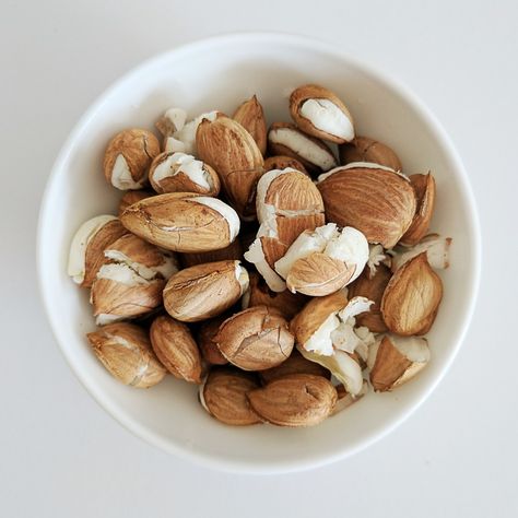 Apricot Seeds How To Eat, How To Eat Apricot Seeds, Apricot Kernels Benefits, Apricot Seeds Benefits, Apricot Oil Benefits, Dry Apricot, Seed Benefits, Apricot Fruit, Apricot Seeds