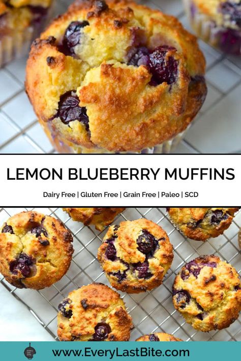 These Paleo Lemon Blueberry Muffins are so moist and flavour. The batter has a zesty lemon juice kick and is loaded with juicy blueberries. These are great grain free muffins to enjoy as a quick healthy snack or for breakfast on the go. They are Grain Free, Gluten Free, Dairy Free, Specific Carbohydrate Diet Legal and Paleo. Paleo Lemon Blueberry Muffins, Muffins Lemon, Muffins Paleo, Paleo Muffins, Postre Keto, Lemon Blueberry Muffins, Paleo Baking, Lemon Muffins, Paleo Sweets