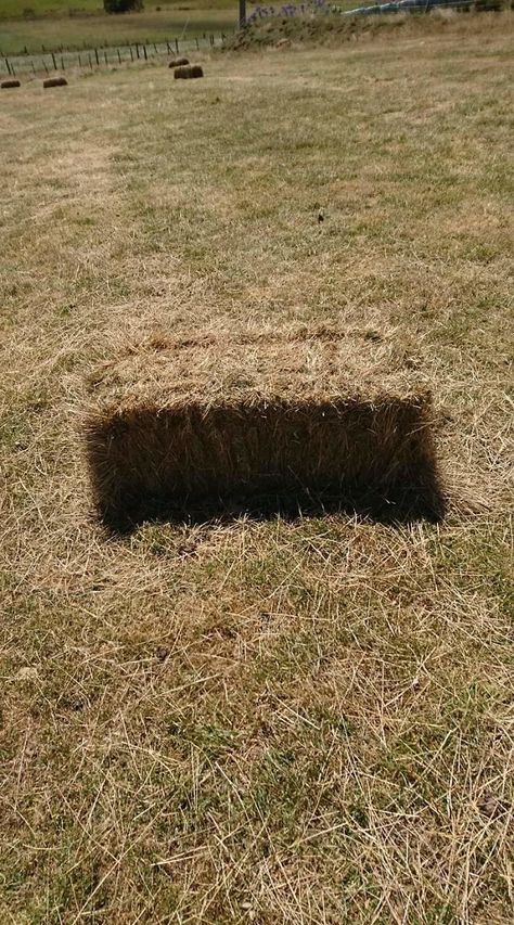 This Bale Of Hay Looks Like A Hole In The Ground Hole In The Ground, Morning Rain, Awkward Family Photos, Garden Vases, Design Fails, Hay Bales, Ancient Maps, Close Encounters, Memes Br