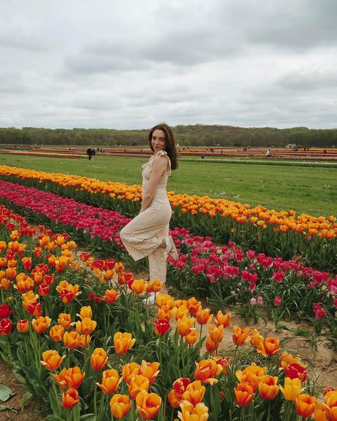 Spring in full Bloom🌷 Tulips are my FAVORITE flower! I am so happy I got to see them in bloom this year @hollandridgefarms 🌷🌸😍 • *OUTFIT DETAILS* Jumpsuit is @asos 💛 It is the perfect length for us petite girlies! 😉 Shoes are @shopmiashoes from @nordstromrack • #phillyinfluencer #petitefashion #petitefashionblogger #hollandridgefarms #tulipfarm #tulipseason #tulipfields #microinfluncer #microinfluencermarketing Tulip Season, Tulip Fields, Favorite Flower, I Am So Happy, In Full Bloom, Influencer Marketing, Petite Fashion, In Bloom, Outfit Details