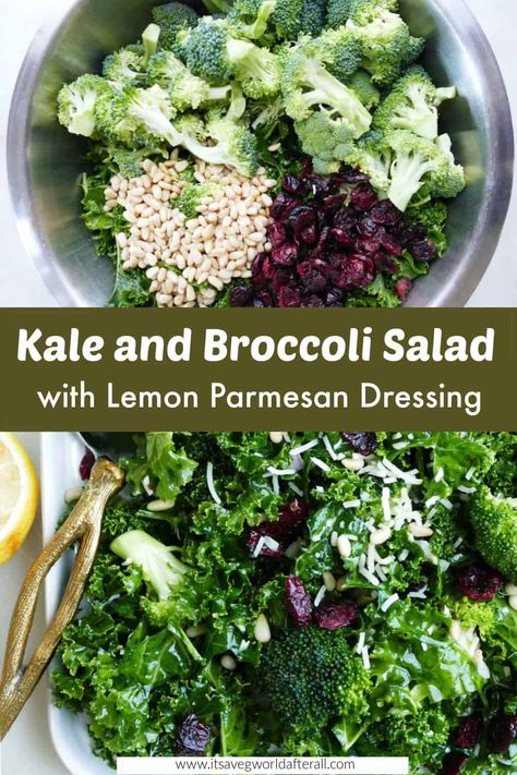 Get your greens in with this delicious kale and broccoli salad! It's crunchy, colorful, and full of flavor from dried cranberries, pine nuts, and a lemon parmesan dressing. Lemon Parmesan Dressing, Work Salads, Gina Livy, Lunch Foods, Tasty Salads, Lunch Salad, Salad With Lemon, Kid Snacks, Mint Salad