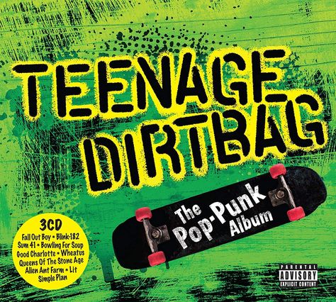 Punk Boy Aesthetic, Teenage Dirt Bag, Blink 182 Albums, 2000s Punk Aesthetic, Punk Album Covers, Alien Ant Farm, Pop Punk Aesthetic, 2000s Posters, Jd And Veronica