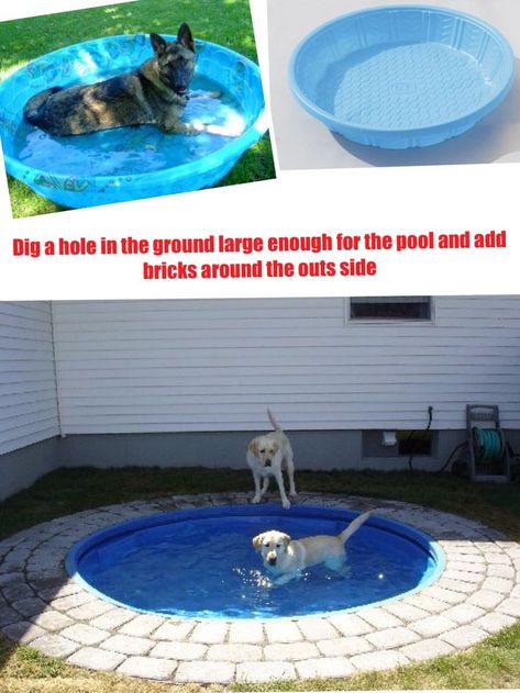 Outdoor Dog Oasis, Dog Pool Diy, Dog Pool Ideas, Dog Pools, Backyard Dog Area, Dog Friendly Backyard, Dog Backyard, Diy Chat, Pool Diy