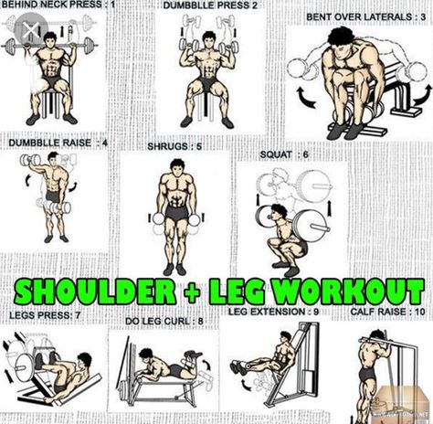 Shoulders and legs Shoulder And Leg Workout, Arnold Workout, Leg Workout Plan, Shoulder Workout Routine, Workouts Exercises, Gym Program, Leg Workouts Gym, Shoulders Workout, Shoulder Exercises