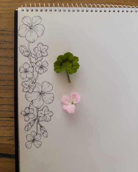 Geraniums 🌸 #draw #geranium #motif #recycledpaper #recycledstationery #stationerydrsign #stationerydesigner #carddesigner #fairewholesaler #drawingprocess #sketch #drawflowers #thisonpaper Geranium Drawing, Doodle Ideas, Drawing Process, Geraniums, Flower Drawing, Recycled Paper, Recycling, Doodles, Sketch