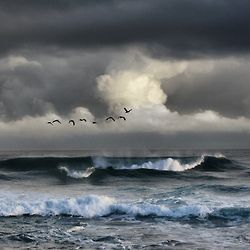 Stormy Sea, Storm Clouds, Ocean Painting, Sea And Ocean, Seascape Paintings, Pics Art, Beach Waves, Ocean Waves, The Ocean