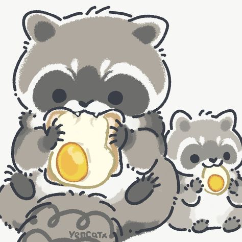 Toast The Raccoon, Raccoon Drawing, Raccoon Art, Pet Raccoon, L Wallpaper, Cute Raccoon, Little Doodles, Kawaii Animals, Dessin Adorable