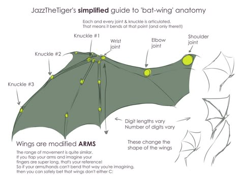 Wing Drawing Reference, Bat Anatomy, Wing Anatomy, Wing Drawing, Dragon Anatomy, Wings Drawing, Dragon Sketch, Wings Art, Art Tools Drawing