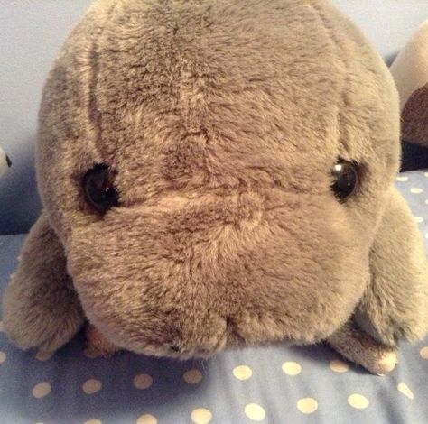 Manatee pillow Manatee Plush, Sea Cow, Silly Girls, Underwater Creatures, Plush Pattern, Silly Animals, Cute Stuffed Animals, Cute Toys, Sea Animals