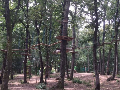 Rope Course Backyard, Ropes Course Diy, Low Ropes Course, Rope Climb Crossfit, High Ropes Course Adventure, High Ropes, High Ropes Course, Challenge Course, Carnival Cruise Ships