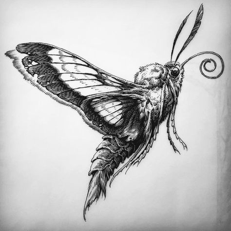 Lepidoptera Tattoo, Moth In Flight, Geometric Line Tattoo, Moth Drawing, Butterfly Black And White, Tattoo Collection, Original Ink Drawing, Spooky Tattoos, The Setting Sun