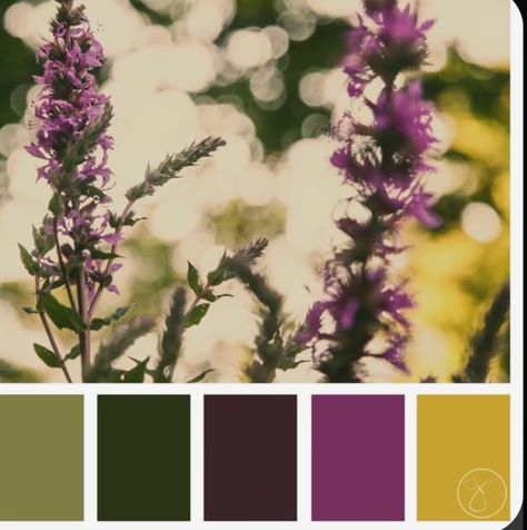 Moorland Colour Palette, Purple Green Mustard Palette, Green Gold Color Pallete, Olive Color Palette Colour Schemes, Olive Green And Purple Color Palette, Moss Green Complimentary Colors, Moss Green Color Combinations, Heather Colour Palette, Enchanted Forest Palette