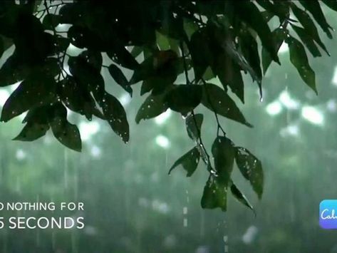 The Calm app’s Election Day TV ad blitz by the numbers: Datacenter Weekly Rain Lover, Sound Of Nature, Simple Meditation, Rain And Thunder Sounds, Relaxing Rain Sounds, Calm App, Guided Relaxation, Rain Sounds For Sleeping, Relaxation Exercises